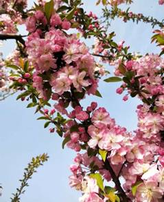 1554275994122102.jpg http://m.qpic.cn/psb?/89ea5bb0-ce2d-45ff-b7ea-18fb208e1381/x*L46LpP7s8v8hSQpJfsMd1qIV7NmdpsX57tREsM77g!/b/dL4AAAAAAAAA&bo=OAQ2BQAAAAARJx8!&rf=viewer_4